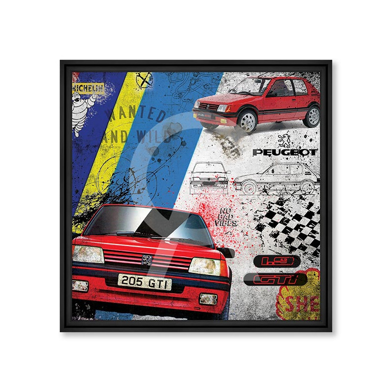 205 GTI 1.9 – Rubix